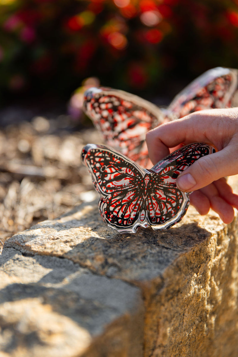 In Bloom: Red and Black Acrylic Butterfly