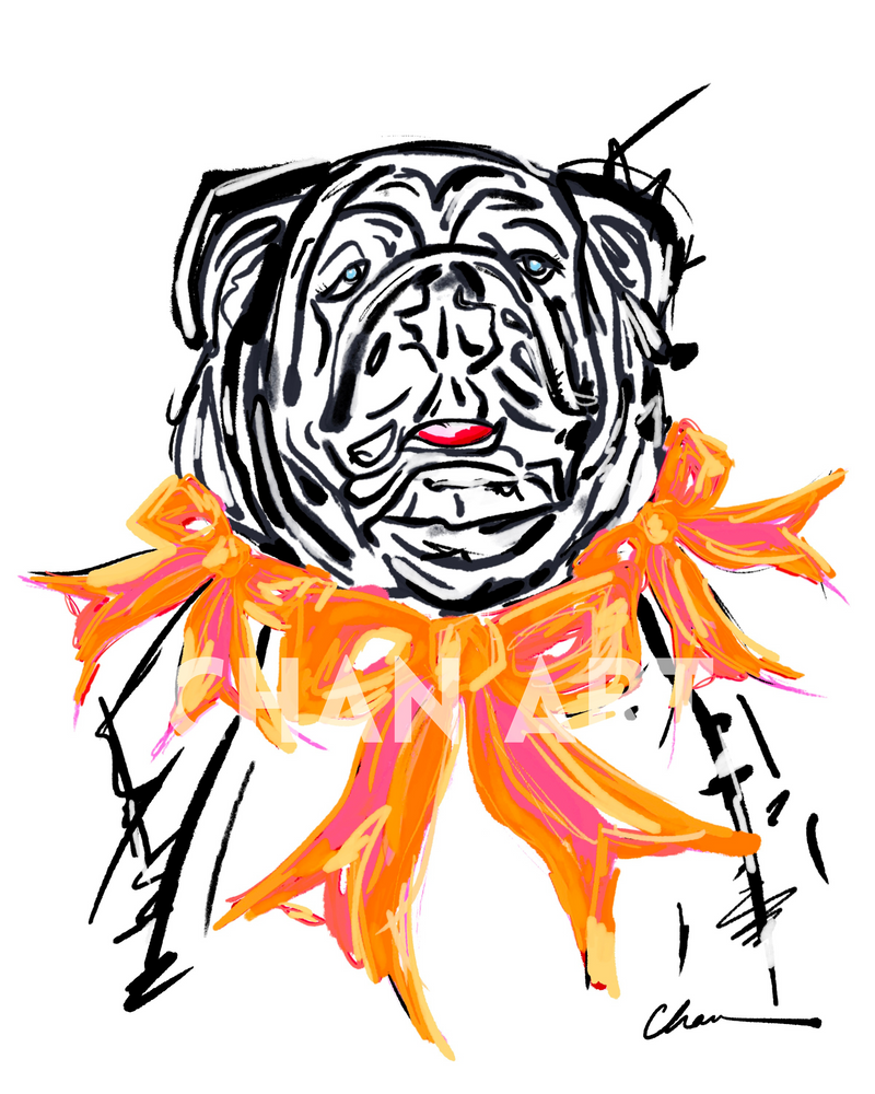 Orange Bulldawg in Bows Print