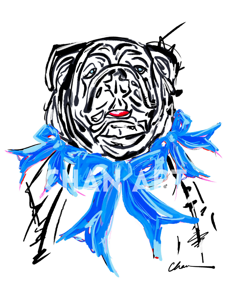 Blue Bulldawg in Bows Print