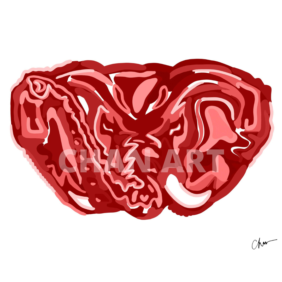Monochrome Bama Print