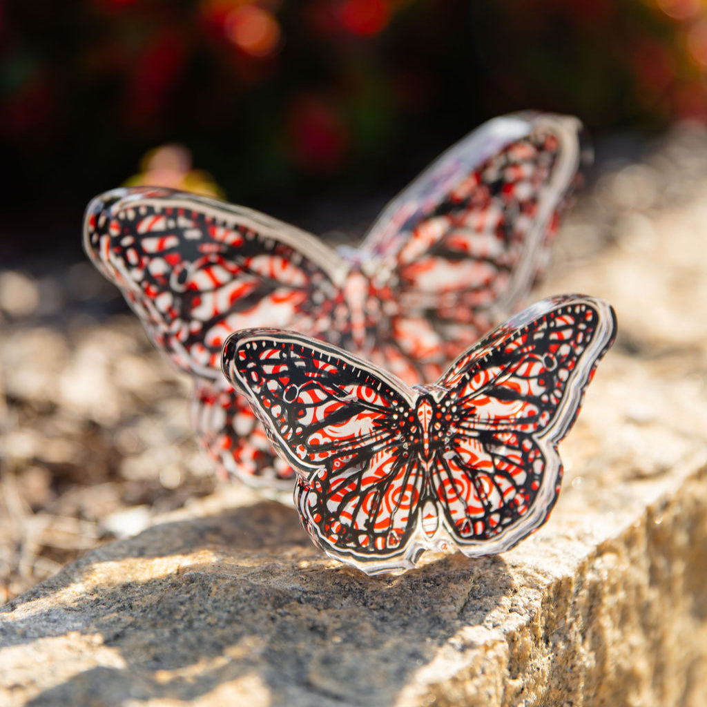 In Bloom: Red and Black Acrylic Butterfly