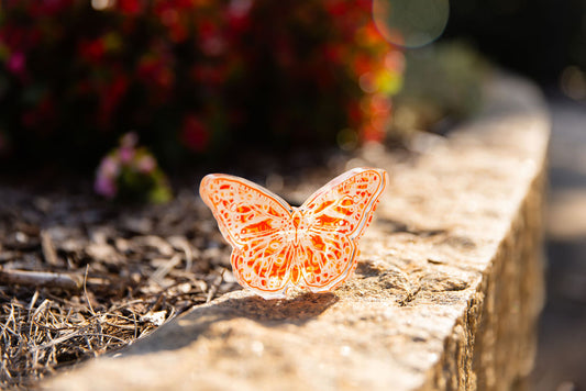 In Bloom: Orange Acrylic Butterfly