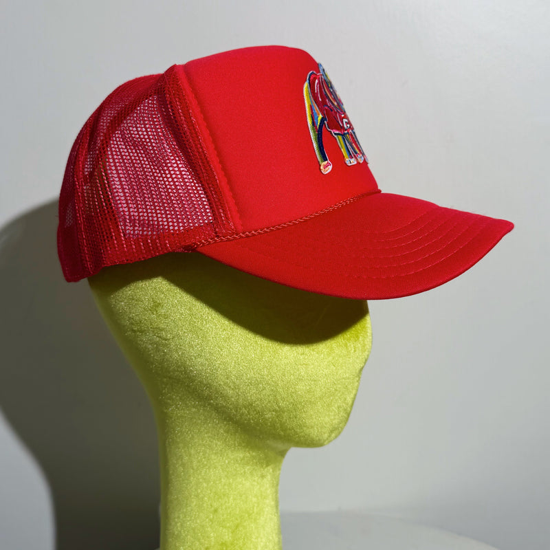 Red Embroidered Patch Dawg Trucker Hat