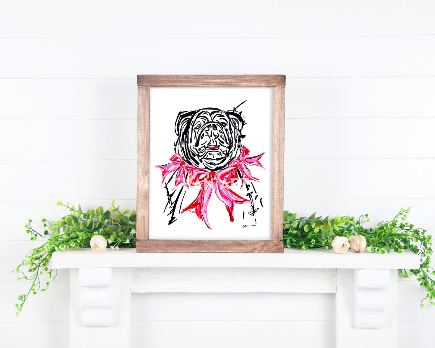 Pink Bulldawg in Bows Print