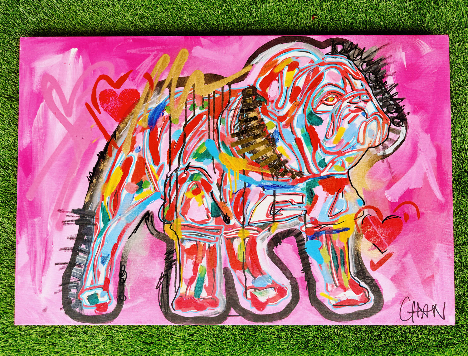 24"x36" Custom Pink Dawg